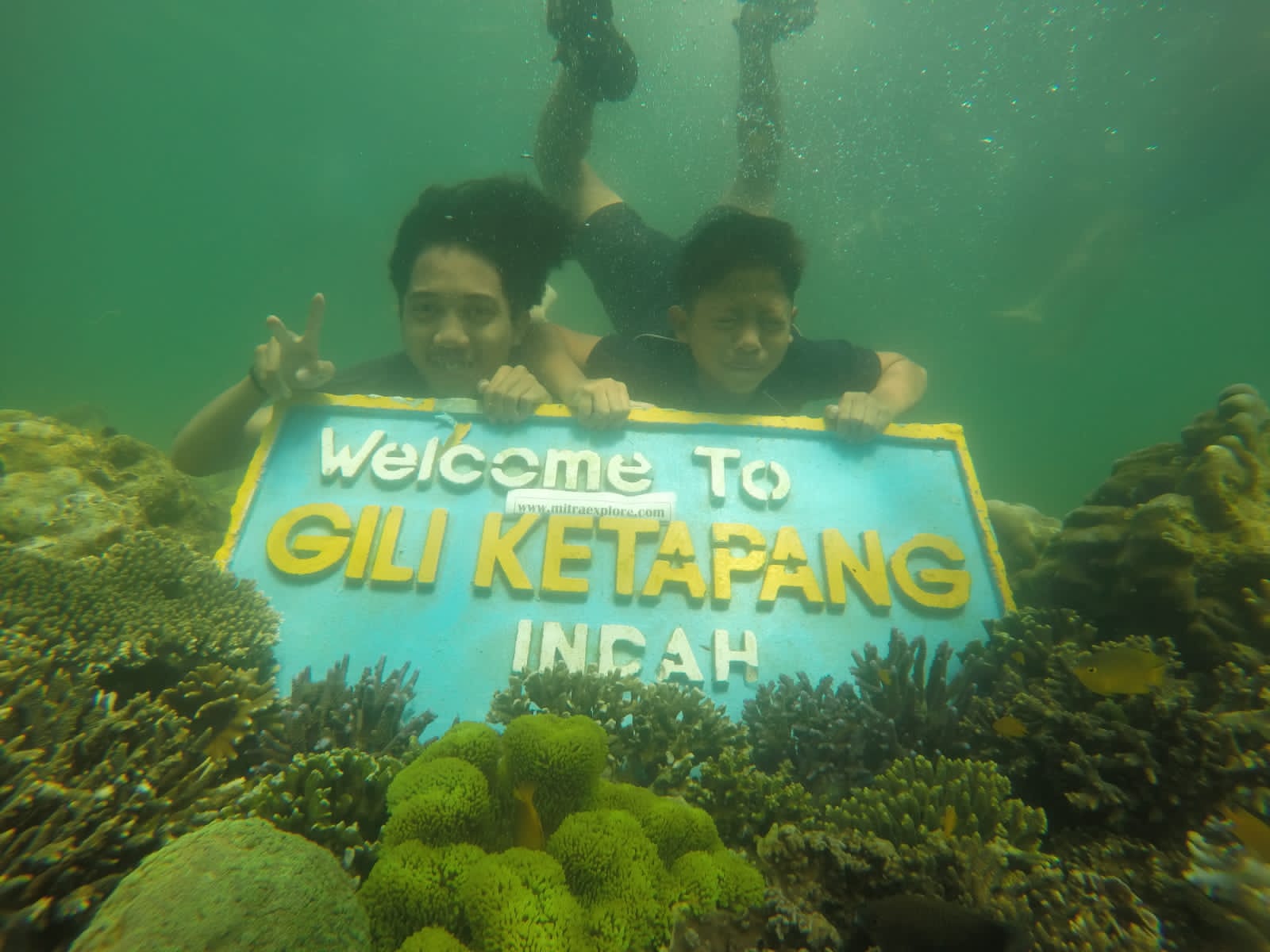 MITRA TOUR & TRAVEL